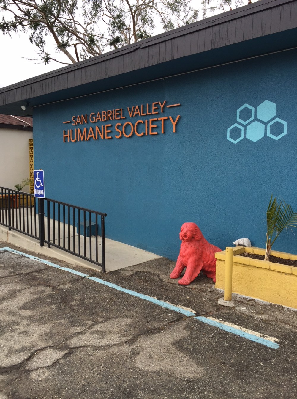 San Gabriel Valley Humane Society