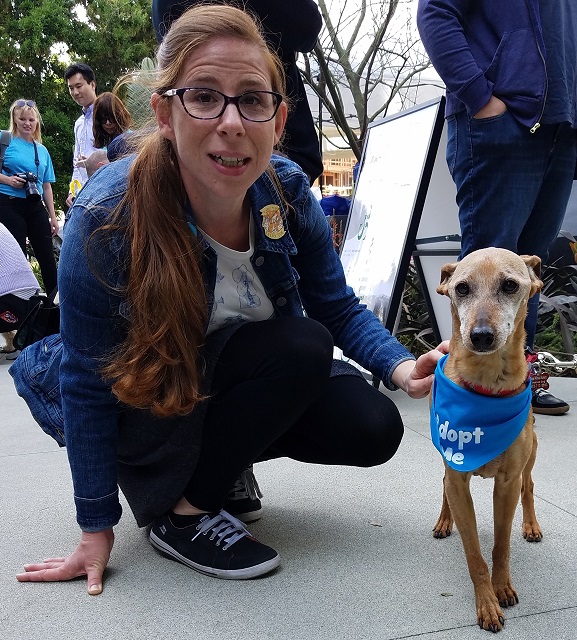 Person and dog at adoption event