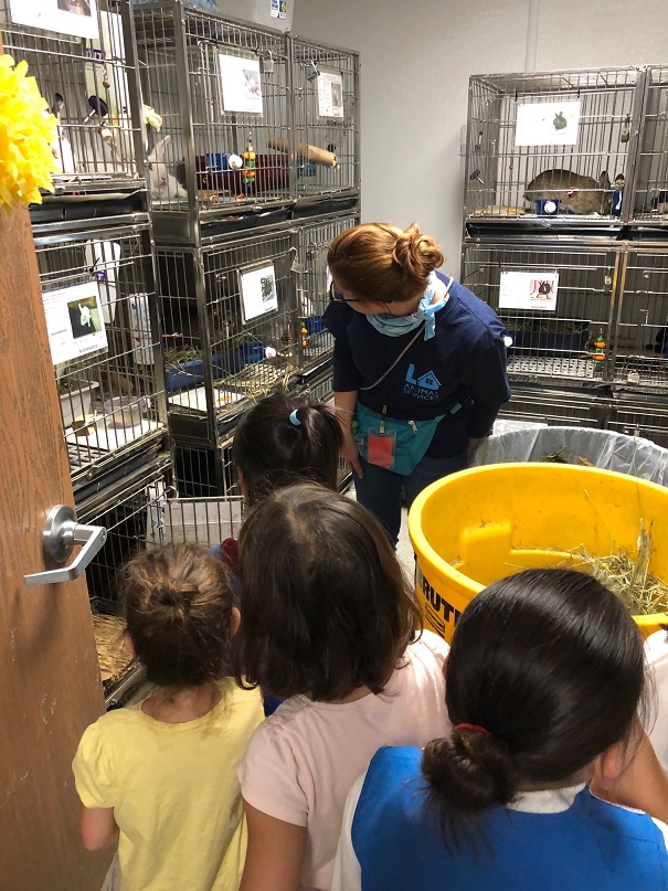 Touring the animal shelter