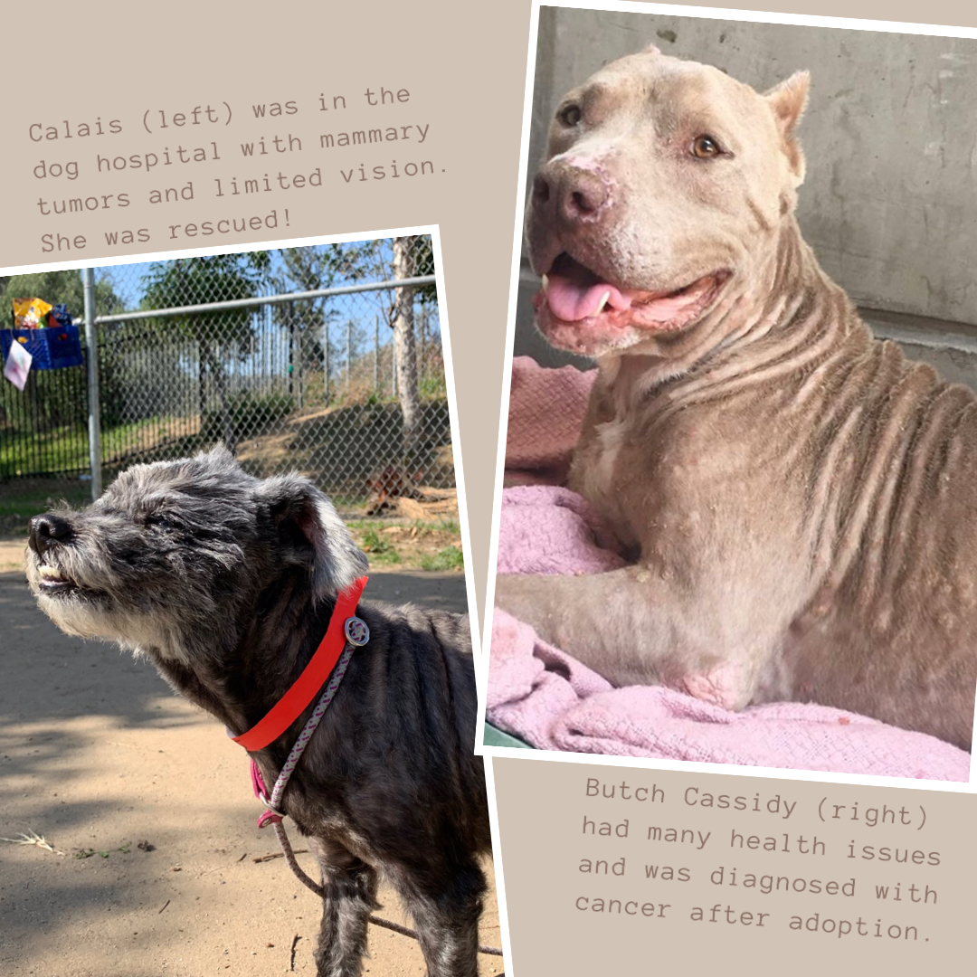 1E749656-FCD4-43FD-ACCA-FF37DBD081D2